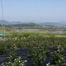 제석농장 이미지