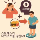 웰스포