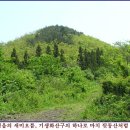 제주고장