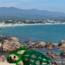 메탈락 경연대회 | 갱상도 여행기