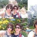 배바위농원 이미지