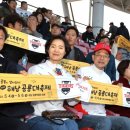 해남야구장 이미지