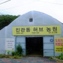 생태다리 이미지