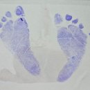 보성군보건소 | 보성군 보건소 모자보건사업(출산후 양육기간 지원사업)