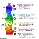 차크라에스테틱 이미지
