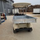 글로벌 차량광고 | 골프카 골프카트 제대로 고르는 법, 스탠다드글로벌에서 한방에 해결