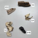 양주시농업기술센터 | [약선음식] 정체관 &amp; 사물삼겹찜, 도토리전, 쌍화차 만드는 법 (ft.양주시 농업기술센터)