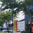 정가네 해물삼합 | [대산밥집] 정가네키조개해물삼합