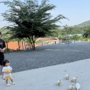 팜스타마트 | 파주 마롱팜 당일 글램핑 후기｜수영장·동물먹이주기·모래놀이까지 아이와 가볼만한곳