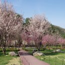 비밀의화원 이미지