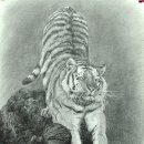 프리덤 미술 교습소 이미지