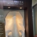 나의라임약국 이미지