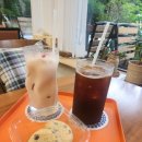 종이접기 | [원주 무실동] 식물 가득 아늑한 공간에서 편안한 힐링 아이와 함께 &#34;두손카페&amp;종이접기&#34; 내돈내산 후기