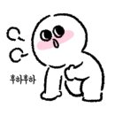 관보패션