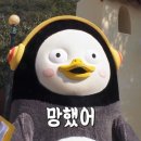 토담목장 이미지