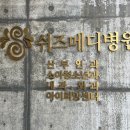 수원 CU 쉬즈메디병원점 | 수원 쉬즈메디병원 e보건소 정부지원 산부인과 임신 사전검사 후기