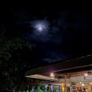 삼보약품 | [블챌]12.세부한달살기-삼보안 판타지롯지 리조트 후기(조식/가와베스/근처식당)