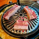 제주도야지 이미지