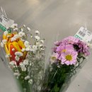일산플라워화분마트 네이버블로그