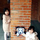 백운참숯 이미지