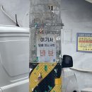 오늘의 파도에서는 오늘의 서핑을
