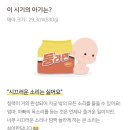 세븐일레븐(양주덕계한주점) | [임신일기]임당검사 후기 및 정밀초음파 시간, 22주~24주 임신 시기별 증상 및 기록, 아기의 성장상태