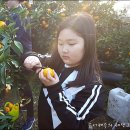 채희농장 이미지