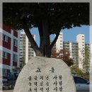 강북고등학교 이미지