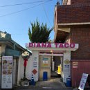 타코엔 | 김해 봉리단길 타코 맛집 점심 추천 디아나타코 주말 방문 후기