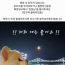 서연네일앤속눈썹