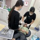 소중한인연 대전 예치과 교정전문병원 소아교정