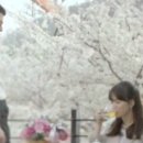 일루소커피