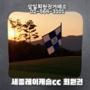 캐슬홀딩스