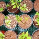 동남농장4 이미지