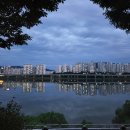 강변 뒷뜰 이미지