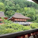 N톡PC | 2026 일본 여행 비짓재팬 웹 등록 방법 : 가족 동반 등록부터 QR코드 캡쳐 꿀팁까지