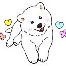 예산빵구타이어수리 이미지