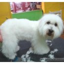 동이살롱 이미지