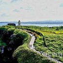 협자연대 이미지