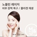 진피앤피