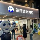 [서울/홍대] 차백도 메뉴 추천 I 망고 포멜로 사고 후기