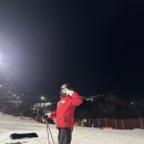 플랫폼 B동 | 홍천 비발디파크 소노벨 B동 숙박 후기 할인 팁