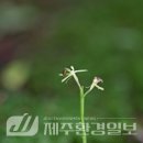 한라전설(주) 이미지