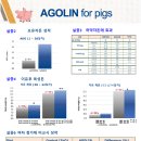 (주)에프앤티바이오 이미지