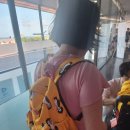 금능리장 이미지