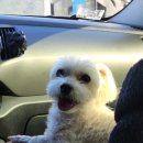 뚜레쥬르 부평중앙점 | 10월 넷째 주 일상 모음