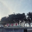 아마존 한증막 이미지