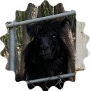 장평목장 이미지