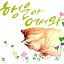 청사커뮤니케이션 이미지