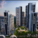 더숲약국 이미지